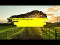 Chris Tomlin feat  Florida Georgia Line & Thomas Rhett Thank You Lord Lyric Video