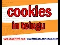 what is cookie how to create cookie cookie program explanation JavaScript Cookie Example