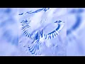 Navy Blue & Child Actor - Orchards (Instrumental)