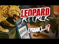 Download Lagu Leopard Prank in Camden Town!