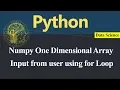 Getting input from user in Numpy One Dimensional Array using for Loop Python Hindi