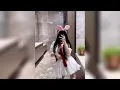 Download Lagu Chen nuo sniper queen👑❣️ | Dancing Montage | 💖😊