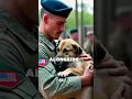 Download Lagu The Soldier and the Stray A Symbol of Hope from the Holocaust #SymbolOfHope #dog#historymatters