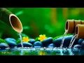 Download Lagu Ontspannende muziek voor stressverlichting 🌿 Slaapmuziek met piano- en watergeluiden voor diepe gen