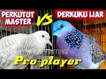 Download Lagu perkutut lokal gacor vs derkuku master #lovebird #birds #birdsounds #birdslover