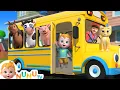 Lagu Wheels On The Bus Animals + More Nursery Rhymes \u0026 Kids Songs | NuNu Tv