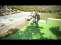 Avril Lavigne n Tony Hawk Skateboarding 2021