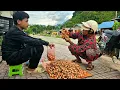 Download Lagu Nam goes into the forest to pick beautiful, delicious, sweet wild fruits to sell. Nam's daily life