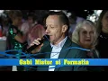 Download Lagu GABI NISTOR ❌ DISTRACTIE MAXIMA ✅ COLAJ DE JOC PENTRU PATIMASI, LIVE  Nunta Marcel si Gabriela 2024