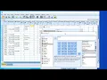 SPSS Work with Data How to filter cases rows