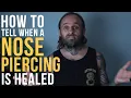 How To Tell When a Nose Piercing is Healed UrbanBodyJewelry com