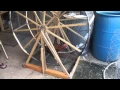 Chicken Exercise Machine