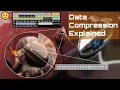 Data Compression Explained Lossless and Lossy Encoding