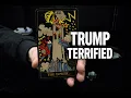 Jack Smith, Epstein, Trumps wereld stort in, mensen zijn er klaar mee, politieke tarot, Trump tarot.