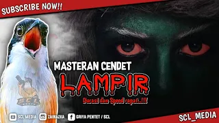 Download Masteran Cendet // Mak Lampir - Lamipran Speed // rekomendasi untuk trotolan kalian. MP3