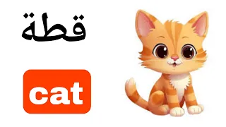 نطق كلمة قطة Cat باللغة الانجليزية  نطق كلمة قطة Cat باللغة الانجليزية