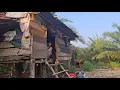 Download Lagu Bermalam di gubuk shelter mang johan masak pisang makan bersama