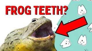 FROGS HAVE TEETH Yes Let me tell you about them