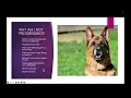 Download Lagu FDSA Webinar Petra Ford Designing Effective Training Plans