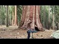 Download Lagu sunset afro house mix at sequoia national park - spijker
