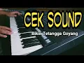 Download Lagu Cek Sound Bikin Tetangga Goyang