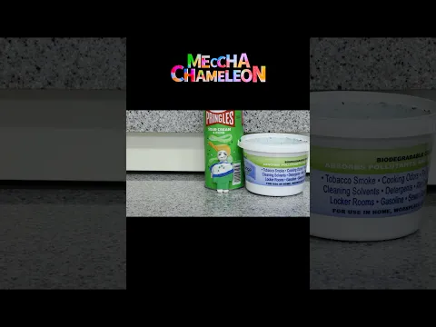 Meccha Chameleon vs Me Animation! [clay stop motion]