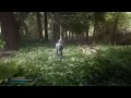 This Is How ALL Skyrim Player Mod Skyrim