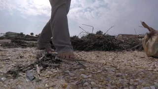 Episode 330 – Reggae Beach Clean Up –  Life of a Gypsy Day 226