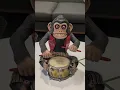 Download Lagu THE MONKEY is real