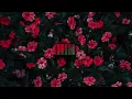 Aluna, Prettyboy D-O & Kooldrink - Nowhere To Hide
