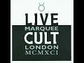 Peace Dog (Live Marquee)
