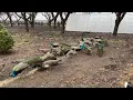 Feeding Nursery Peacocks