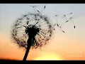 Hicaz Saz Semai Mahmut BİLKİ