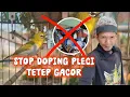 Lagu stop doping pleci tanpa mandek