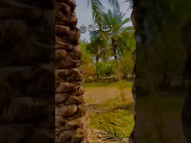 ⁣وَهُزِّیۤ إِلَیۡكِ بِجِذۡعِ ٱلنَّخۡلَةِ ،، سُورَةُ مَرۡيَمَ ، روائع #الشيخ_عبدالباسط_عبدالصمد