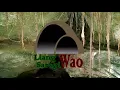 Download Lagu LIANG SARAGI TERBARU 2021