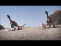 Download Lagu Eoraptors Mating Season | Dinosaur Revolution | Discovery Channel