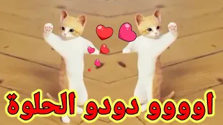                                                                                                      دندنها