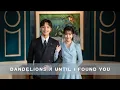 Download Lagu until I found you 𝐗 dandelions || MULTIFANDOM [FMV]