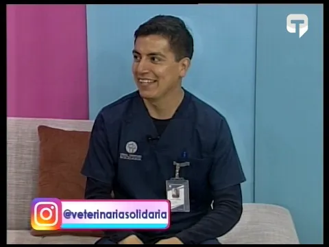 Cuidado en la vejez de las mascotas