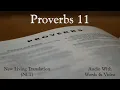Proverbs 11 - Holy Bible