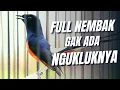 Download Lagu MASTERAN MURAI BATU FULL ISIAN TEMBAKAN MEWAH, SILAHKAN DI DOWNLOAD