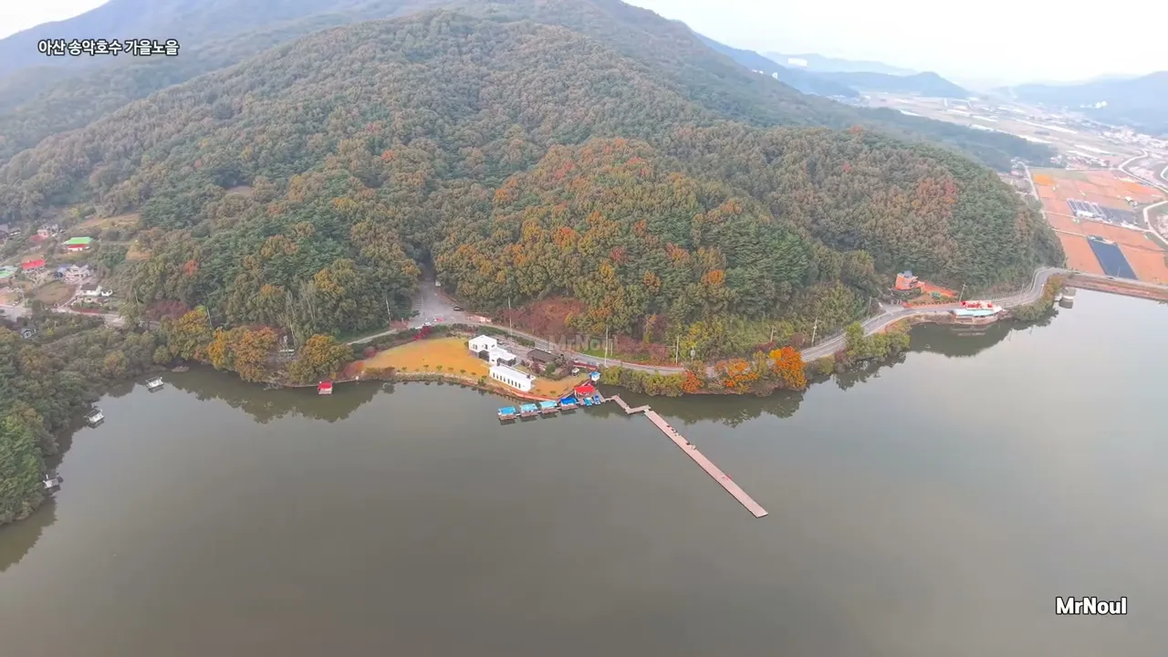 4k 가을이 지는 시간, 송악저수지를 붉게 물들이다  충남여행 아산 송악저수지 サムネイル