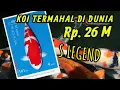 S LEGEND The Most Expensive Koi Fish in the World