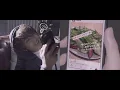 【Premium】Nissy(西島隆弘) - トリコ