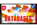 Microsoft Access Database Microsoft Access Tables Query Sorting Lesson 2
