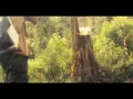 Silent Hiking #2: Puncak Besar Malabar (Solo Tektok)