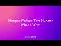 Morgan Wallen, Tate McRae   What I Want