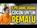 Download Lagu 3 Peluang Usaha yang Cocok untuk PEMALU