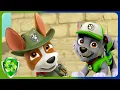 Welcome Tracker Rocky - PAW Patrol Cartoons for Kids